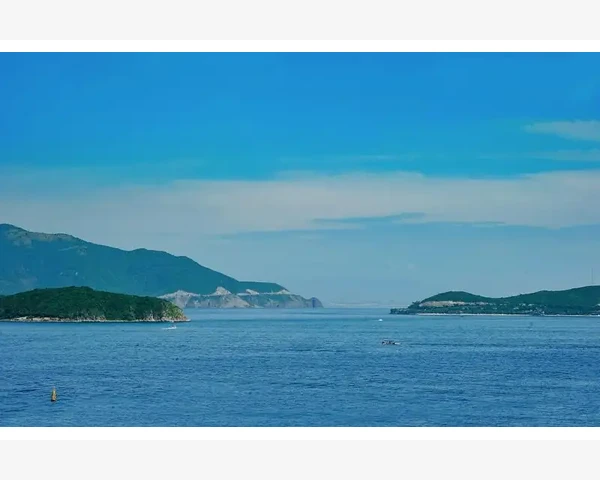 为什么止咳化痰配伍用？