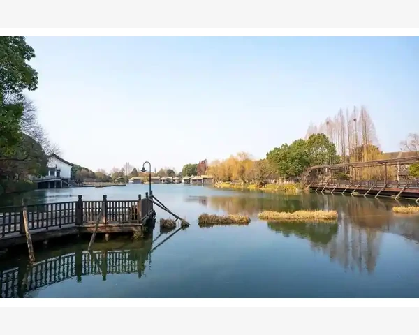 为什么刮痧后体重增加？原因揭秘！