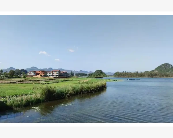 脾胃湿热，你可拔罐吗？