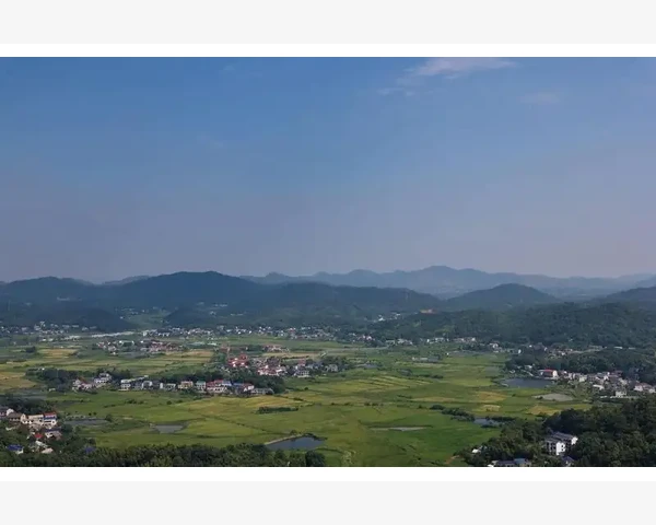 如何通过适当运动缓解气血不足问题